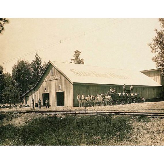 Sutter Home White Zinfandel, Wine, 1.5 L, 5 image