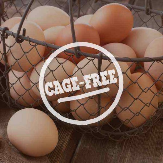 Ben & Jerry's Cherry Garcia Ice Cream, 16 oz, 7 image