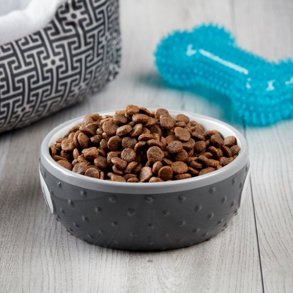 Pure Balance Wild & Free Grain Free Formula Salmon & Pea Recipe Food for Dogs, 11 lb, 2 image