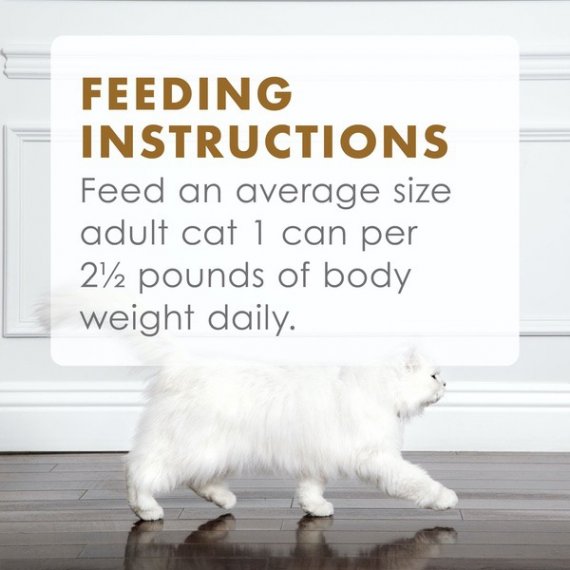 Fancy Feast Gravy Wet Cat Food, Gravy Lovers Chicken Feast in Grilled Chicken Flavor Gravy, 3 oz. Can, 10 image