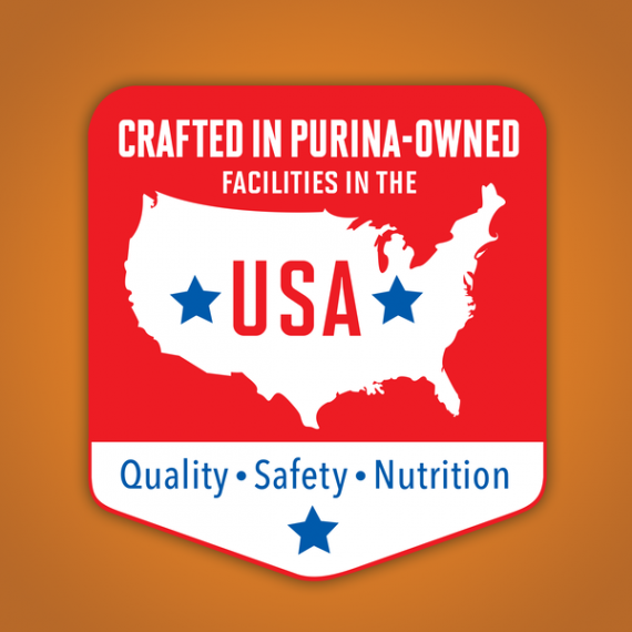 Friskies Gravy Wet Cat Food, Shreds With Chicken - 5.5 oz. Can, 9 image