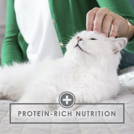 Fancy Feast Gravy Wet Cat Food, Gravy Lovers Chicken Feast in Grilled Chicken Flavor Gravy, 3 oz. Can, 9 image