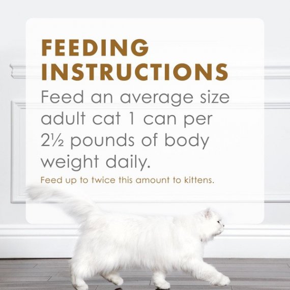 Fancy Feast Gravy Lovers Ocean Whitefish & Tuna Feast in Sauteed Seafood Flavor Gravy Wet Cat Food - 3 oz. Can, 9 image