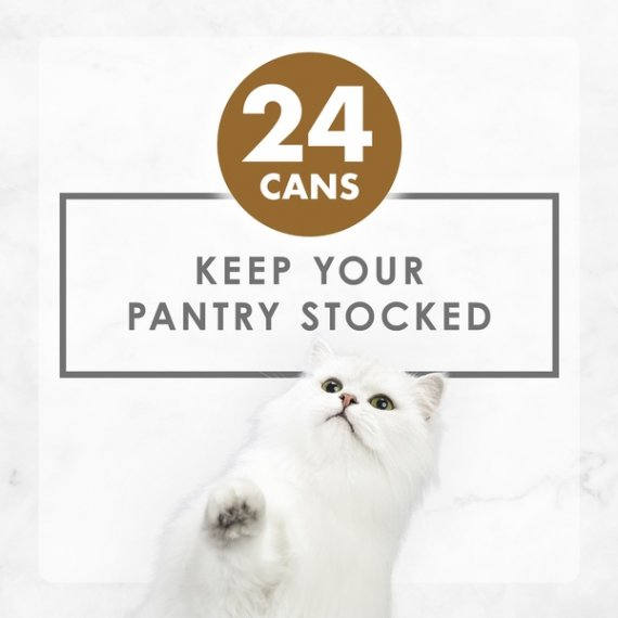 Fancy Feast Gravy Wet Cat Food, Gravy Lovers Chicken Feast in Grilled Chicken Flavor Gravy, 3 oz. Can, 7 image
